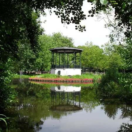 فندق مبيت وإفطار Amsterdam Forest View B&B